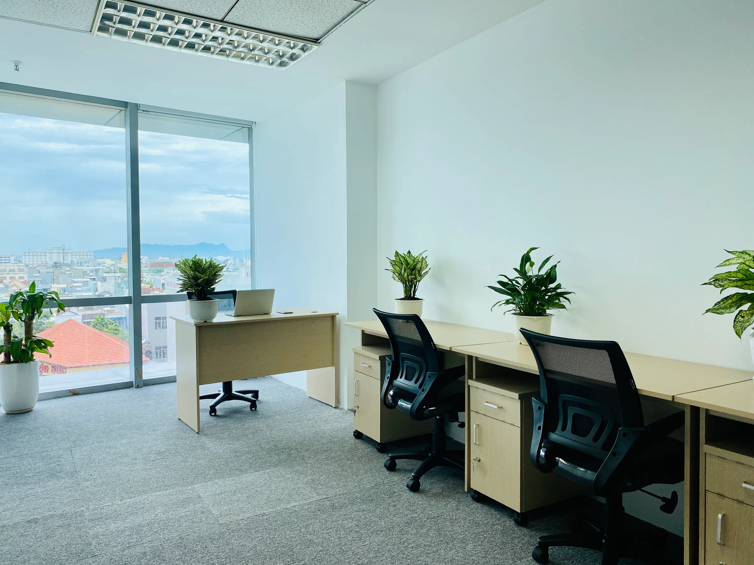 Không gian làm việc linh hoạt cho doanh nghiệp mới thành lập